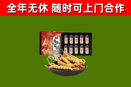 商丘烟酒回收冬虫夏草礼盒.jpg