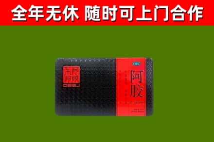 商丘回收阿胶