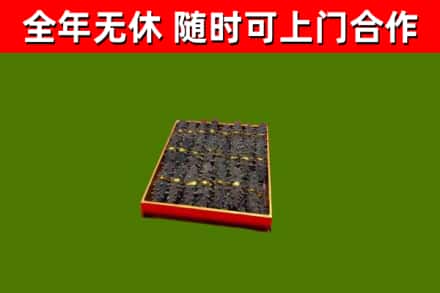 商丘回收海参